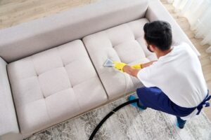 C:\Users\Norozian\Downloads\Commercial-Sofa-Cleaning-1.jpg