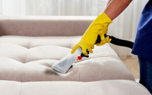 C:\Users\Norozian\Downloads\how-professionals-help-in-cleaning-your-sofa.jpg