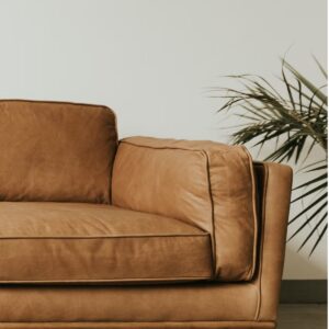 C:\Users\Norozian\Downloads\leather-cleaning.jpg