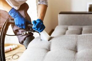 C:\Users\Norozian\Downloads\Sofa-Cleaning-825x550_compressed.jpg