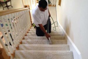 C:\Users\Norozian\Downloads\stairs_carpet1.jpg