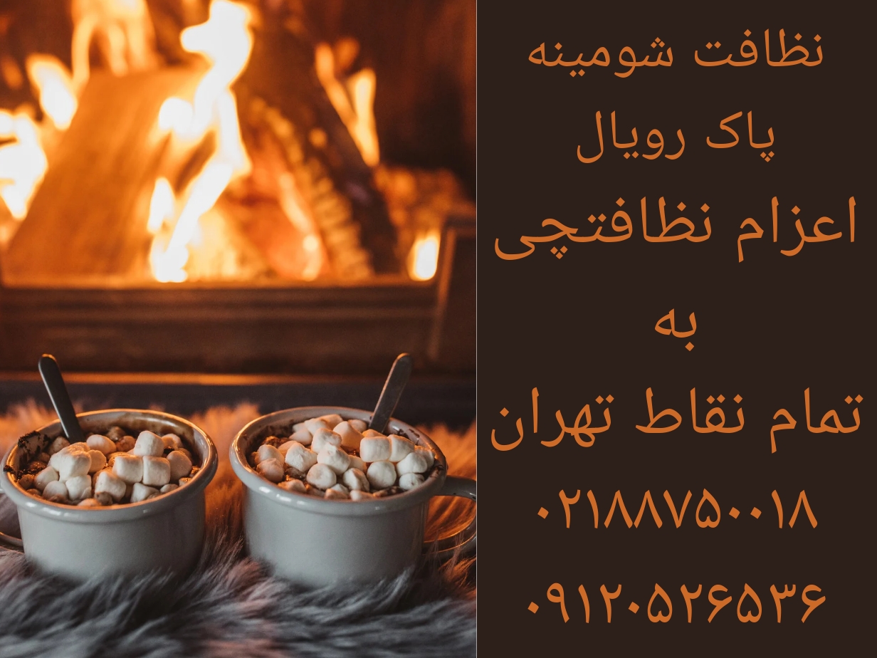 - نظافت منزل ساعتی - شرکت خدماتی نظافتی پاک رویال