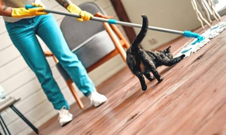 10 اشتباه زمان نظافت کفپوش - شرکت خدماتی نظافتی پاک رویال - نظافت منزل - نظافتچی خانم