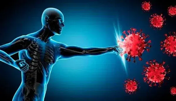 نظافت منزل در تهران - تقویت سیستم ایمنی بدن با 10 راهکار عملی از تغذیه تا ورزش - تقویت سیستم ایمنی بدن - شرکت خدماتی نظافتی پاک رویال