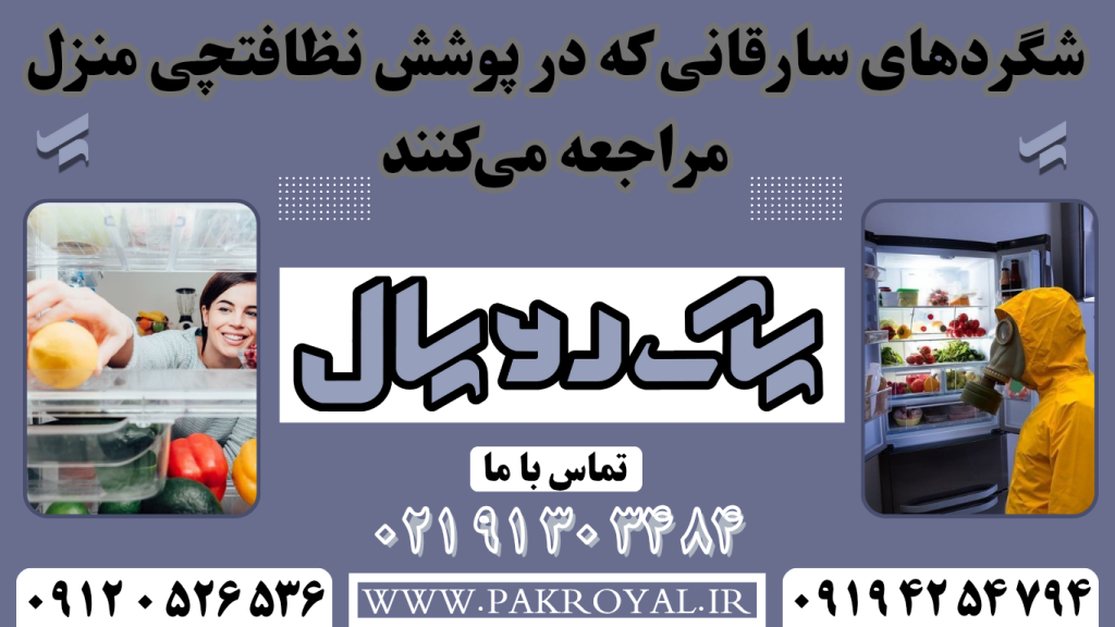 سرقت در پوشش نظافتچی منزل